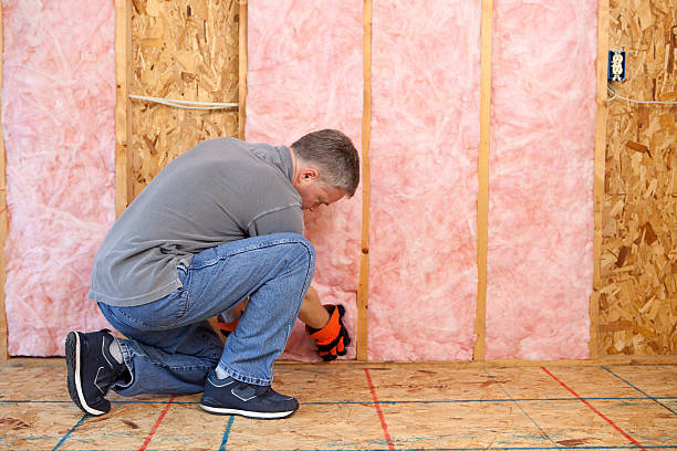 Best Insulation Materials and Products in Oakley, KS